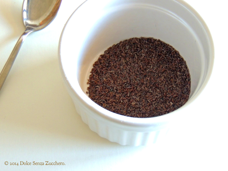 Gel di Semi di Psillio