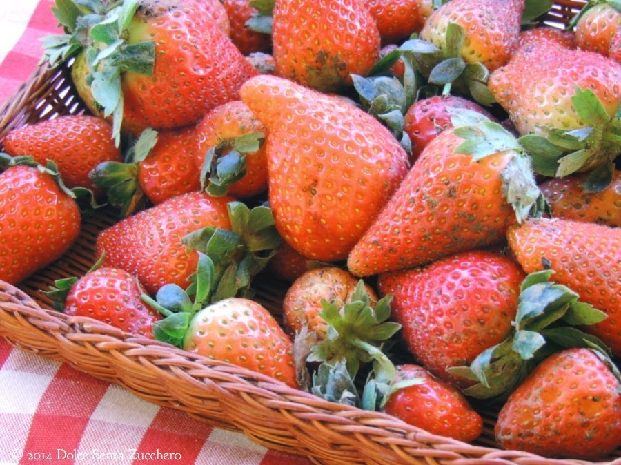 Budino di Chia e Fragole (1)