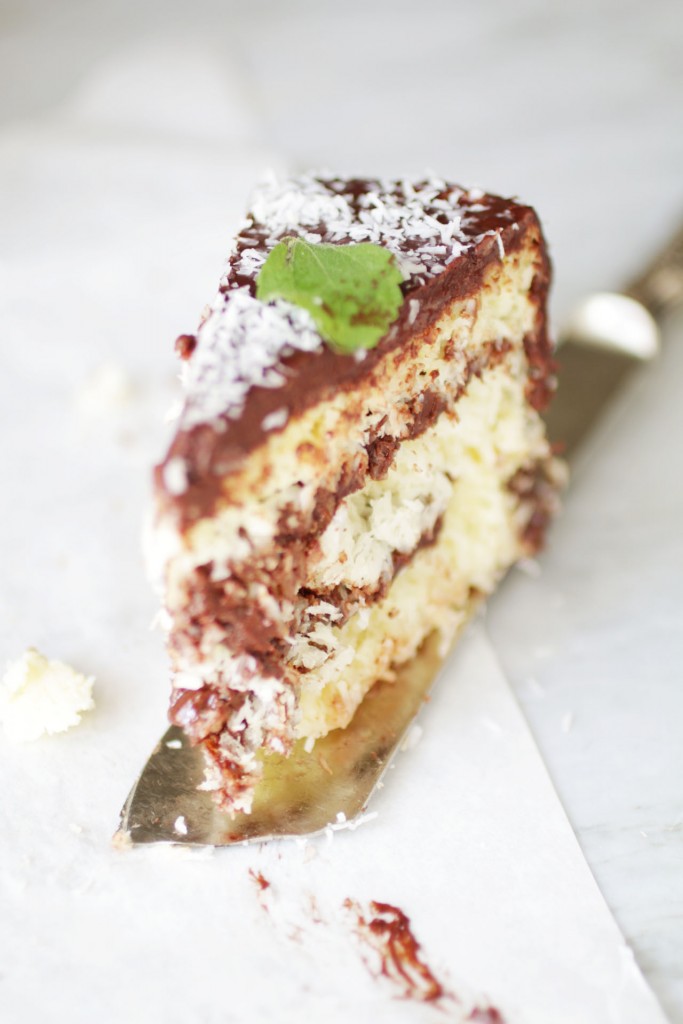 Torta al cocco_Dolce Senza Zucchero (6)