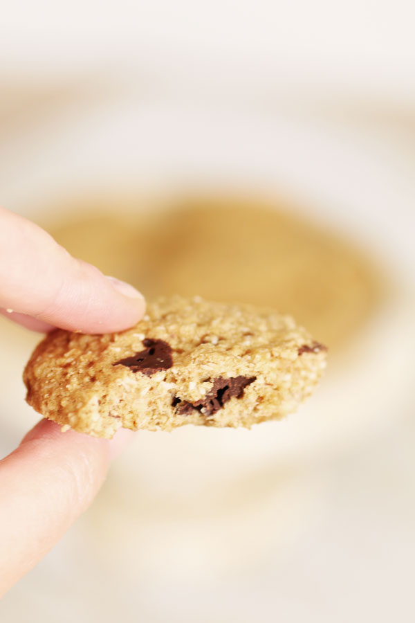 Biscotti con Farina di Sorgo Senza Zucchero e Glutine