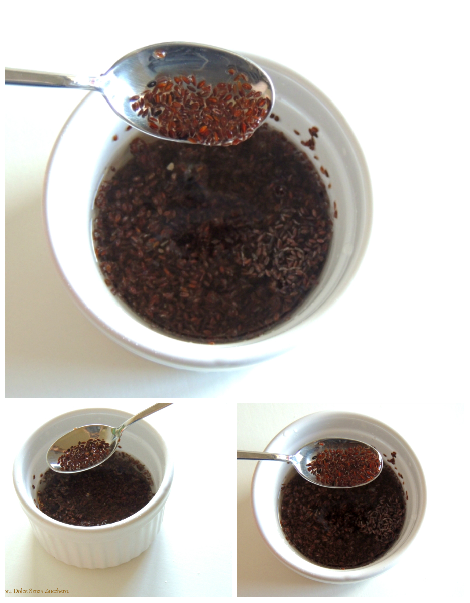 Gel di Semi di Psillio